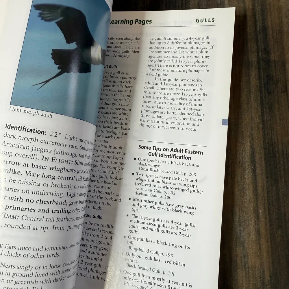 Stokes Field Guide to Birds Eastern Region‎ Wildlife Identification Book